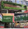 50×50cm Artificial Green Plant Wall - Plastic Vertical Garden, Fake Flower Wall, Synthetic Turf Background