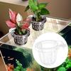 Panier de plante hydroponique transparent support de plante d'aquarium suspension supérieure pot de fleur d'aquarium tasse de pot de fleur d'aquarium