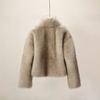 Winter advanced sense of gradual change imitation fox fur coat women's short thickened temperament thin fur coat