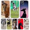 Telefono dėklas iPhone 17 Air dėklams iPhone 16 15 12 13 14 Pro Max SE 7 8 Plus iPhone11 Skaidrus minkštas dangtelis Galgo kurtas
