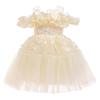 Girls' Cross-Border Flower Princess Dress 2025 - New Children's Performance Dress