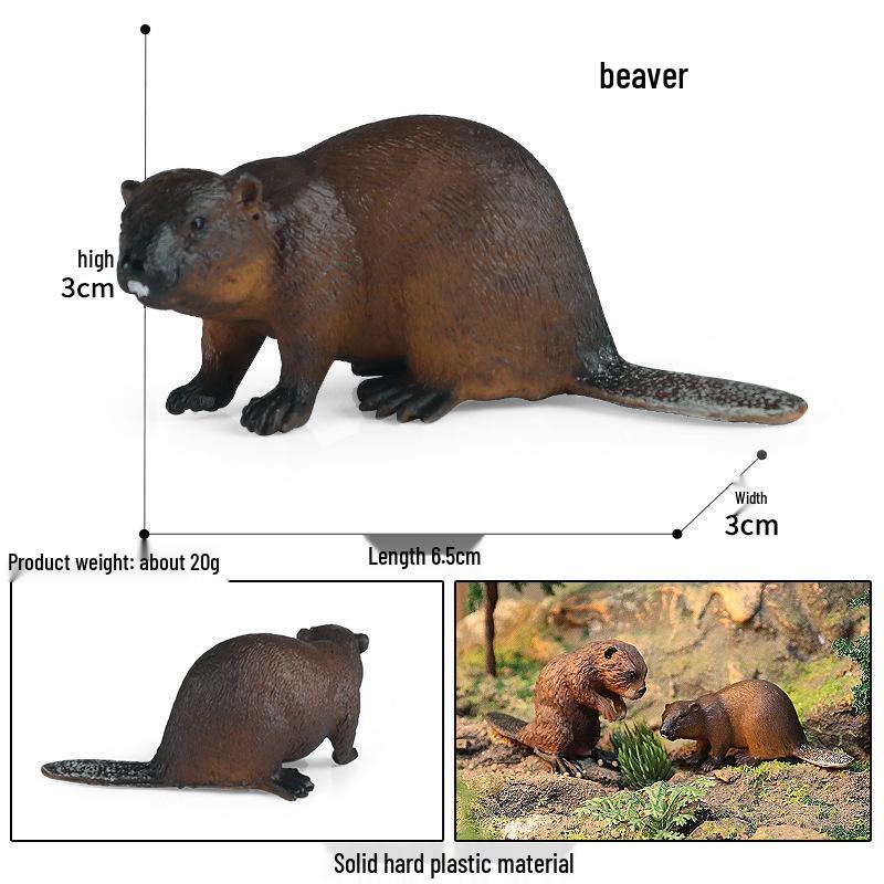Animal Simulation Toys: Capybara, Beaver, Pangolin, Armadillo, Badger, Anteater, Otter, Aardvark, Skunk, Tapir