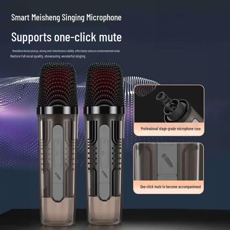 SANSUI T65 Home KTV Bluetooth Speaker with Dual Microphones CN plug (adapter included)