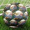 Rugrats Theme Size 5 Soccer Ball, Suitable for Both Indoor and Outdoor Matches, a Gift Suitable for Everyone.