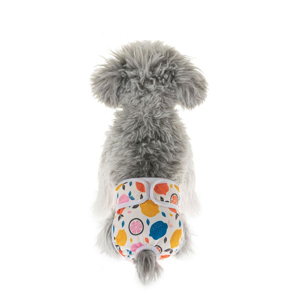 New Spring and Summer, Puppy Cat Physiology Pants Pet Physiology Pants Puppy Physiology Pants