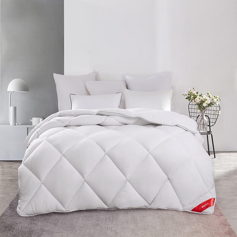 Mengjie Soft & Fluffy Two-in-One Four Seasons Quilt