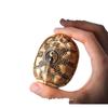 Brass Retro Distressed Tortoiseshell Sancai Handheld Zhouyi Bagua Stress Relief Play Piece