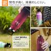 Eliciya Stainless Steel Thermos 1 Vacuum Keeps Drinks Hot or Wide Mouth for Easy Ice and Drink Straw Carbonated Drink Cloth Bag Lightweight and