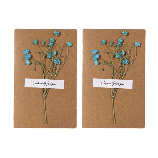 2 Adet Kuru Çiçek Tebrik Kartı El Yapımı Retro Hediye Kartı Düğün Doğum Günü Bebek Partisi Mezuniyet İçin Kendin Yap Davetiye Dilek Kartı