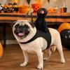 Lustige Feiertags-Haustierkleidung Hund Halloween Kostüm Sensenmann Reiter 3D Cosplay Outfit Kostüm Bekleidung für Kleine Mittlere Und Große Katzen Hunde Süße Katze
