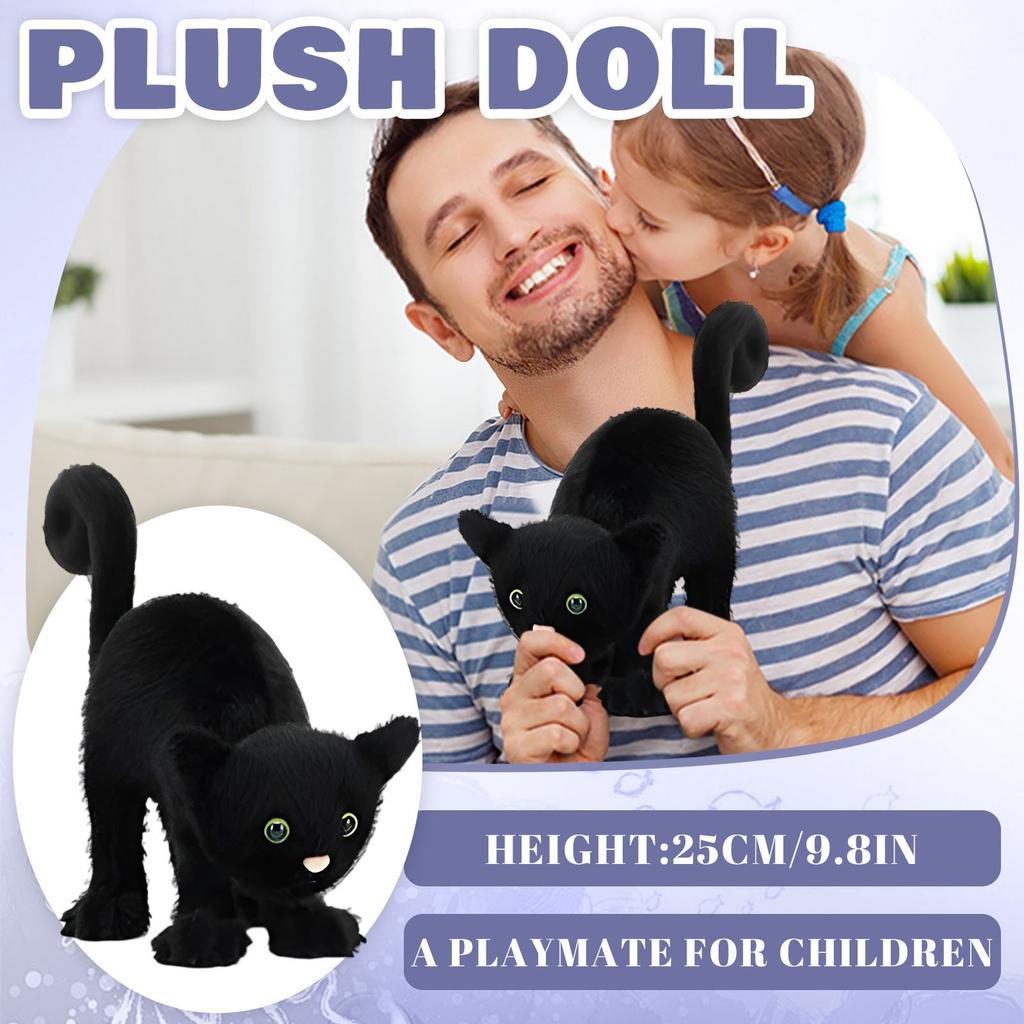 Plush Toys, Cute And Perfect Birthday Gifts For Friends And Classmates, Graduation Gifts