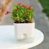 Self Watering Square Flower Pot with Removable Water Reservoir for Indoor Home and Outdoor Balcony Gardening