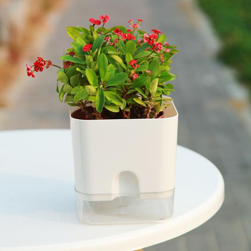 Self Watering Square Flower Pot with Removable Water Reservoir for Indoor Home and Outdoor Balcony Gardening