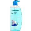 Head & Shoulders Anti-Dandruff Oil Control Volumizing Shampoo