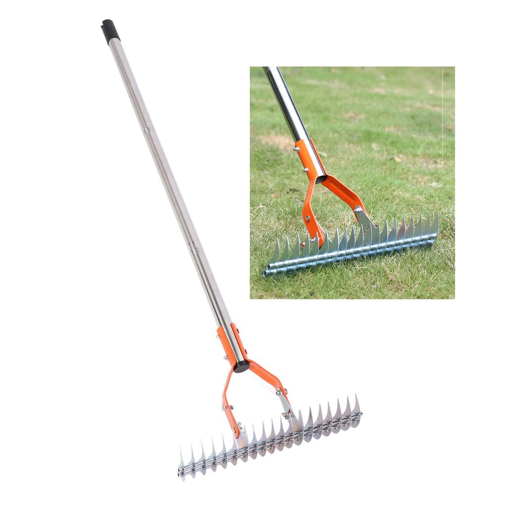 Thatch Rake 14.7 Inch Carbon Steel Stainless Steel Robust Lawn Dethatcher Rake with Handle for Clning Dd Grass Yard Garden