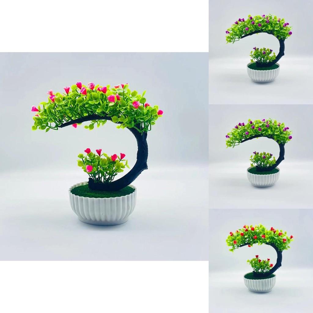 Plastic Rose Bonsai With Multiple Color Options For Indoor Garden And Gift Ideas