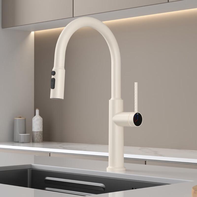 Brass Wall-Mounted Pull-Out Kitchen Faucet