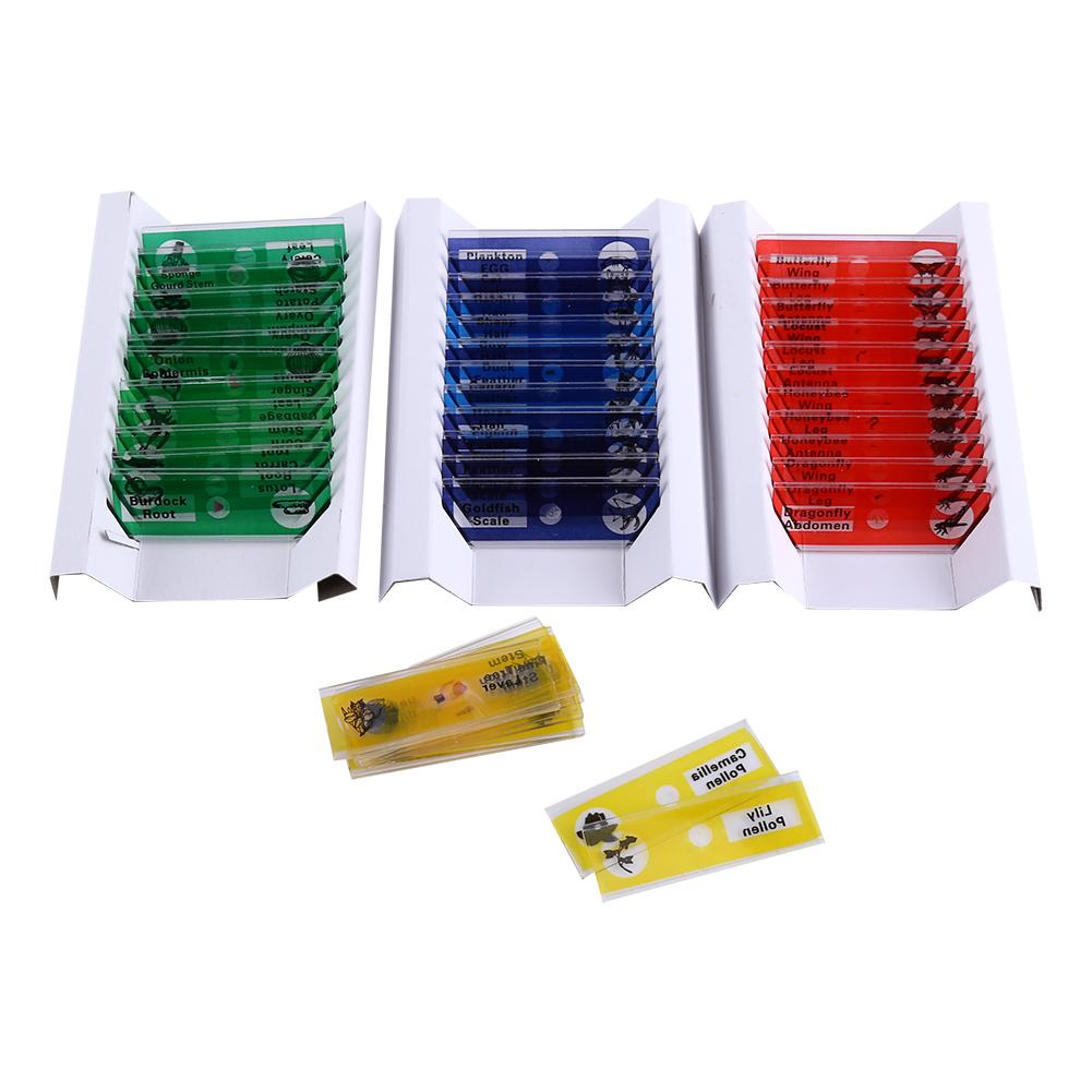  lantern slides, 4 Boxes Prepared Microscope Slides Animals Plants Flowers Sample Specimens(Red, Yellow, Blue, Green 12pcs box), Slides