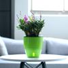 Selbstbewässernder Blumentopf mit sichtbarem Wasserstand, geeignet für die Wurzelpflege und als Anzuchttopf für den Innenbereich.