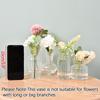 Vintage Glass Vase Room Decoration Transparent Flower Vase Hydroponic Plant Pot Aesthetic Table Ornaments Accessories Flower Bottle