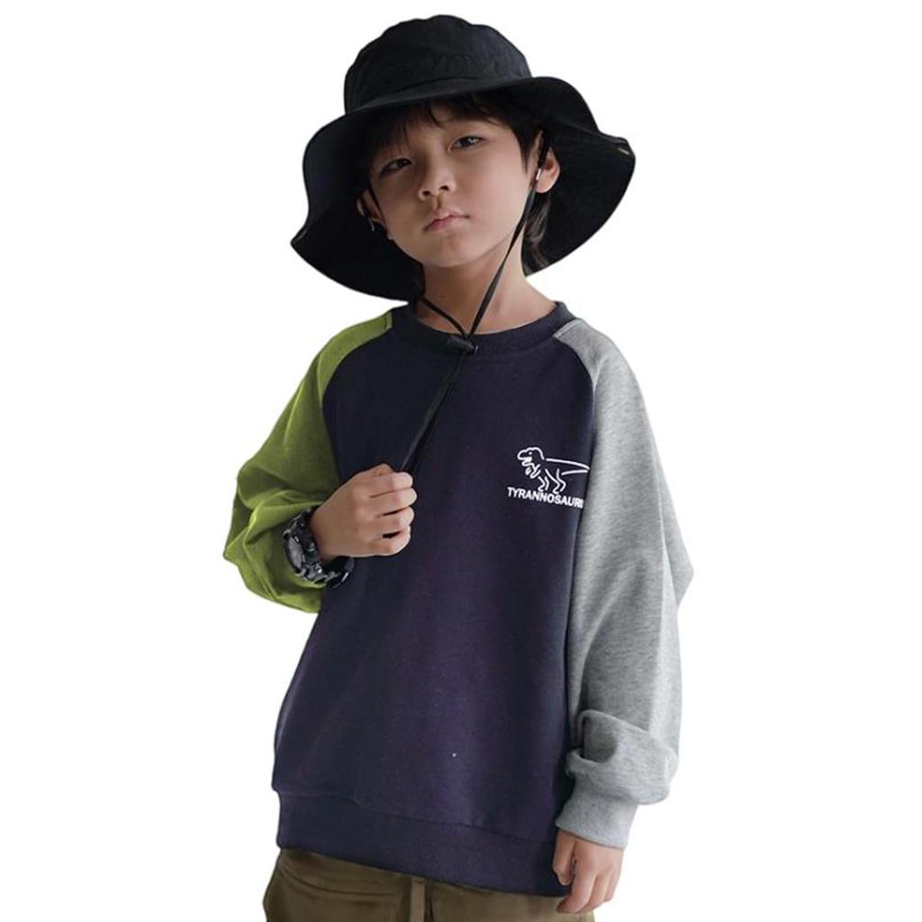 Kayiyasu Pullover Crew Dinosaur Sizes Dark Kids' Boys' Hoodie, Neck, Print, Spring/Autumn, School/Kindergarten, 100-150 (100 Gray)