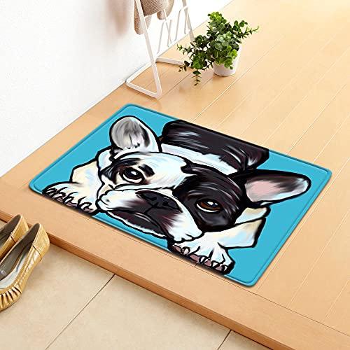 Creative Home Door Mat Water Absorbent Non-Slip Mat Living Room Kitchen Floor Mat Bedroom Carpet