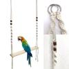 Pájaros – Jaulas y accesorios
