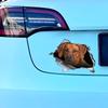 Rhodesian Ridgeback 3D Bryt Muren Bildekal, Vattentäta Vinylmaterial Tillbehör, Intressant För Bilar, Lastbilar, Motorcyklar, Väggar