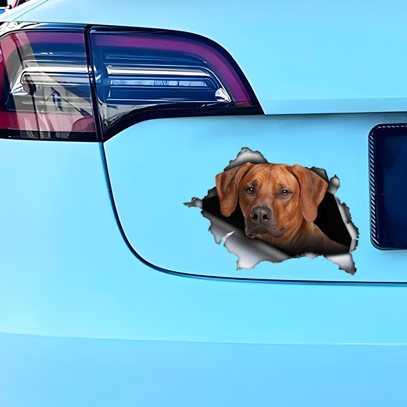 Rhodesian Ridgeback 3D Bryt Muren Bildekal, Vattentäta Vinylmaterial Tillbehör, Intressant För Bilar, Lastbilar, Motorcyklar, Väggar