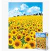 Puzzle Girasole Hill 500 pezzi