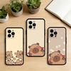 AAA Funny Cartoon Capybara  Phone Case For iPhone 17,16,15,14,13,12,11 Plus,Pro Max,XS,Soft Silicone Black Cover
