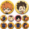 Classic Anime Soft Button Pins Cartoon Role Shoyo Hinata Cosplay Badge Kenma Tetsuro Pins DIY Bag Clothes Decor Accessories Gift