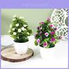 Hibiskusblume Künstlich 25 Stück Rund Kleine Topfpflanzen Für Wohnzimmerdeko Und Foto-Requisiten