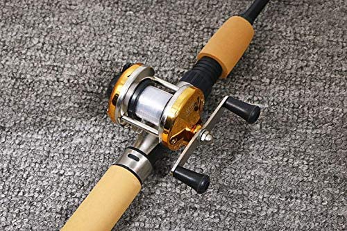 VILTAGE Ice Fishing Rod Set, Compact Rod, Double-Axis Reel, 100cm, for Ice Fishing, Brakuri, Saltwater, with Rod Case (Gold)