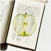 Creative Fruit Slice Bookmarks Simulation Funny Translucent Design For Fixed Book Cartoon Cute Acrylic Note Bookmarks Gifts
