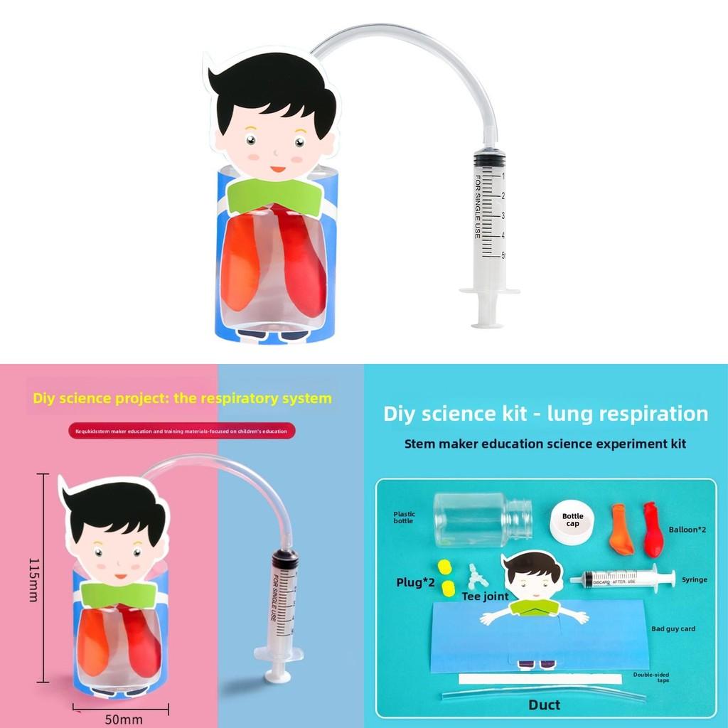 Kids Diy Physiology Model Of Lung Movement For Science Education And Handson Learning