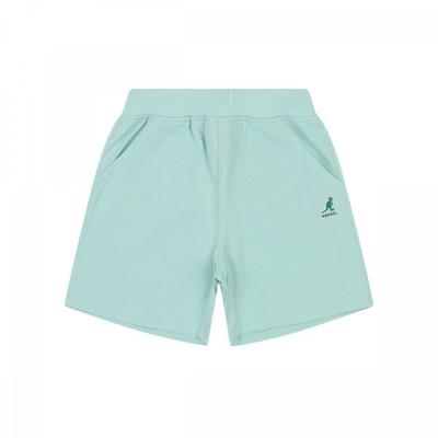 Coolmax Jersey Shorts Mint Sb 0007