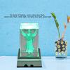 3D LED Light Base Display Stand Square Holder Multicolor for Crystal Art Glass Decor