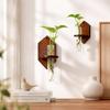 Home Ornaments Hydroponic Planter Shelf Vase Planter Holder Wall Mounted Planter  Living Room