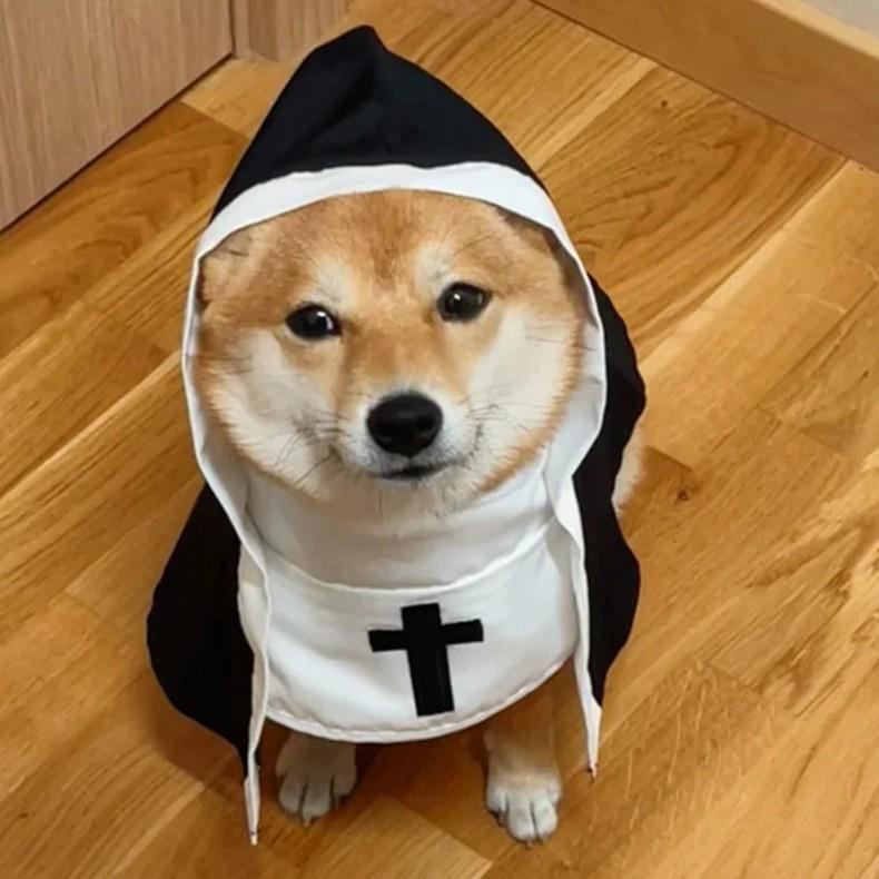 Halloween Nun Costume for Cats and Dogs - Pet Dress-up Photography Prop