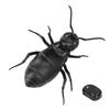 Ant Toy Infrared Remote Control Clear Texture Dynamic Lighting Remote Control Bug for Hallowmas