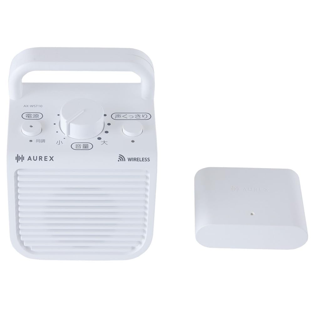 Toshiba White TV Speakers AX-WST10