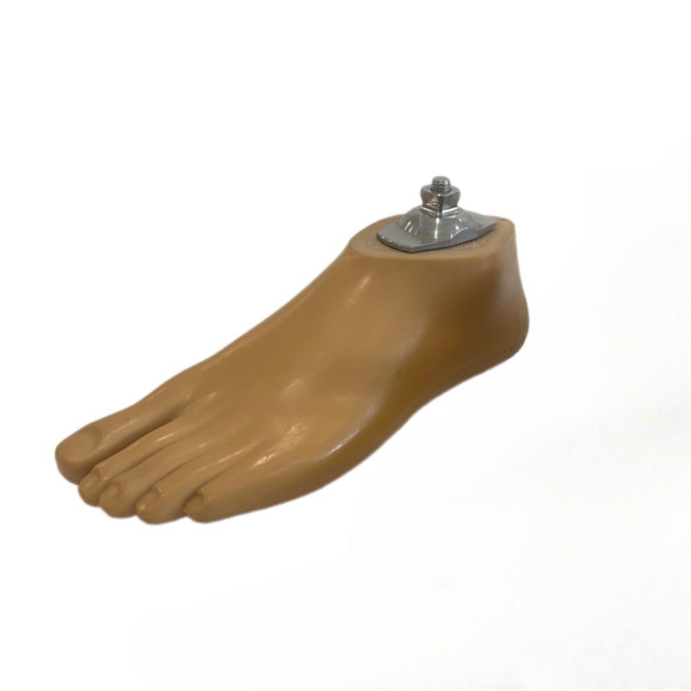 

Universal Prosthetic Foot for SACH Foot | Size 12–30 | Beige |L/R 27-right