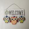 Rural Style Home Decor Creative and Personalized Owl Welcome To The Wall Hanging
