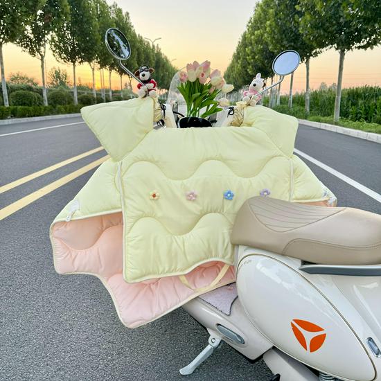 All-Season Electric Car Windshield Cover: Extra Large, Thick, Double-Sided & Waterproof with Side Wings