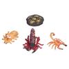 Zestaw Zabawek Cykl Życiowy Skorpiona Edukacyjny Zestaw Zabawek Etapy Życia Owada dla Dzieci#2