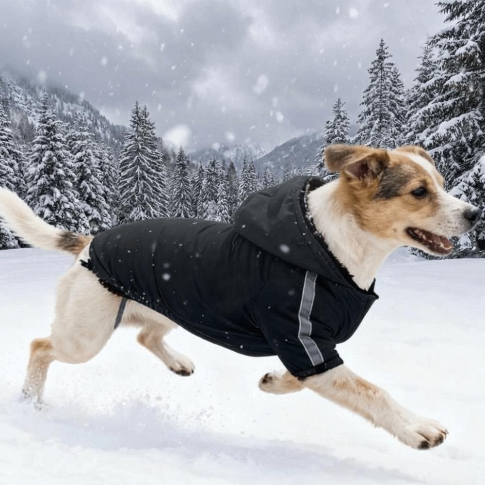 Pet Costume Windproof Fleece Dog Clothes Warm Waterproof Winter Pet Apparel Thicken Reflective Dog Hooded Coat Autumn Winter