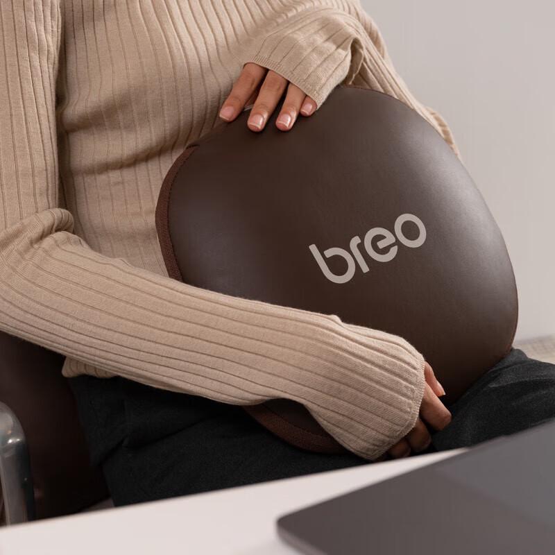 Breo BM2001 Multi-functional Waist Back Massager