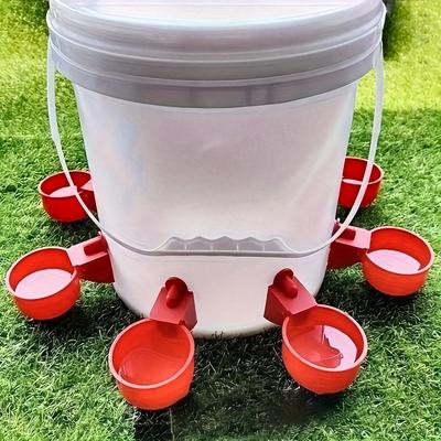 Chicken Drinking Bowl Drinking Water Quail Poultry Automatic Water Dispenser Duck and Pigeon Free Range Chicken