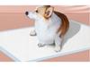 Good Fortune Super Absorbent Pet Training Pads - Deodorizing Urine Pads for Cats and Dogs